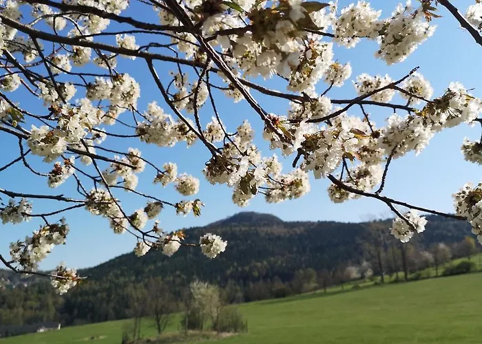 بيت للعطل Waltersdorf